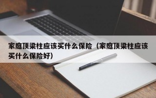 家庭顶梁柱应该买什么保险（家庭顶梁柱应该买什么保险好）