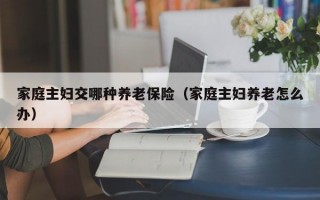 家庭主妇交哪种养老保险（家庭主妇养老怎么办）