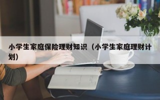 小学生家庭保险理财知识（小学生家庭理财计划）