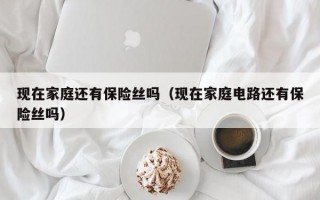 现在家庭还有保险丝吗（现在家庭电路还有保险丝吗）