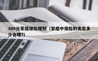 300元家庭保险规划（家庭中保险的支出多少合理?）