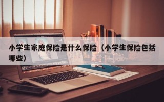 小学生家庭保险是什么保险（小学生保险包括哪些）